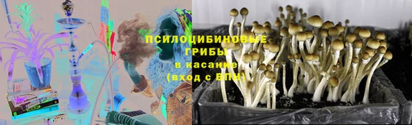 ГАЛЛЮЦИНОГЕННЫЕ ГРИБЫ Михайловка
