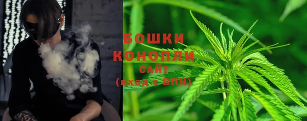 мдпв Нестеровская