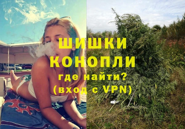 PSILOCYBIN Нефтегорск