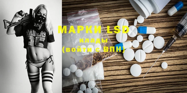 прущие грибы Мегион