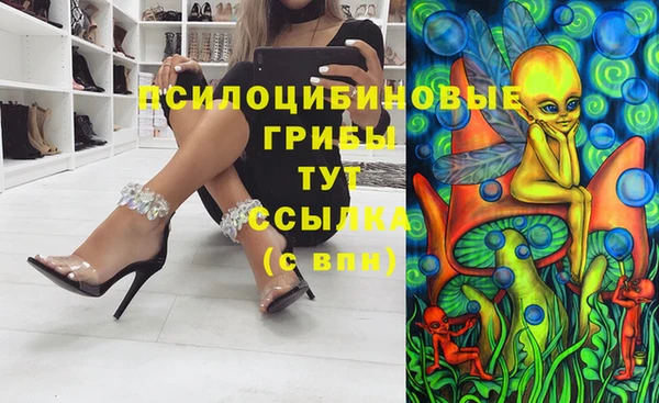 прущий лед Надым