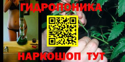 винт Ипатово