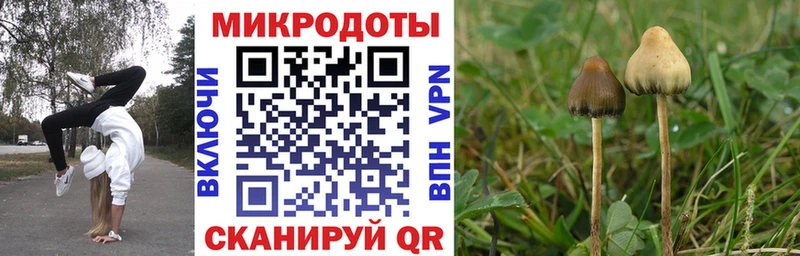 blacksprut   Иваново  Псилоцибиновые грибы Magic Shrooms  где найти  
