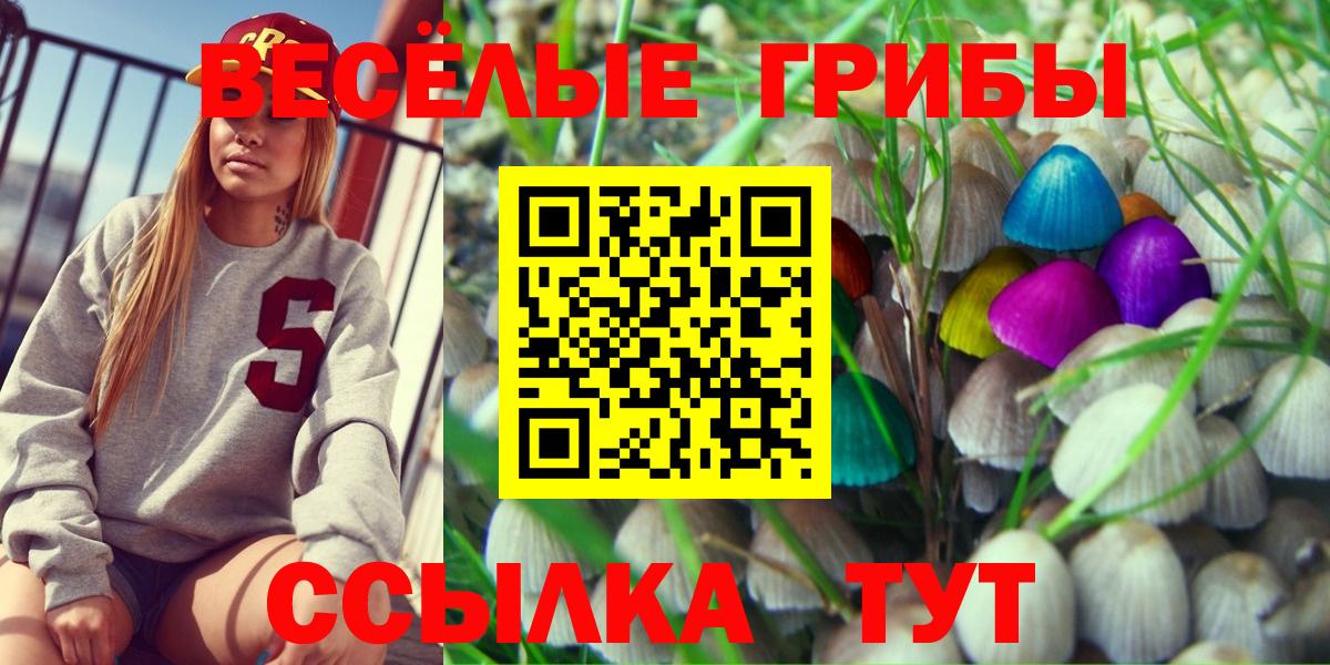 Псилоцибиновые грибы мицелий Иваново