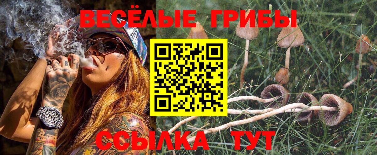 Псилоцибиновые грибы ЛСД  Вход с VPN  Галлюциногенные грибы Cubensis  Иваново 