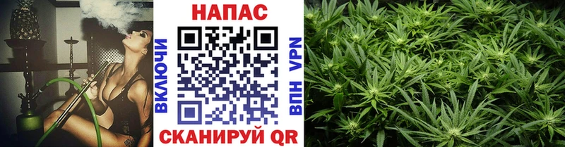 Каннабис гибрид  дарнет шоп  Иваново 